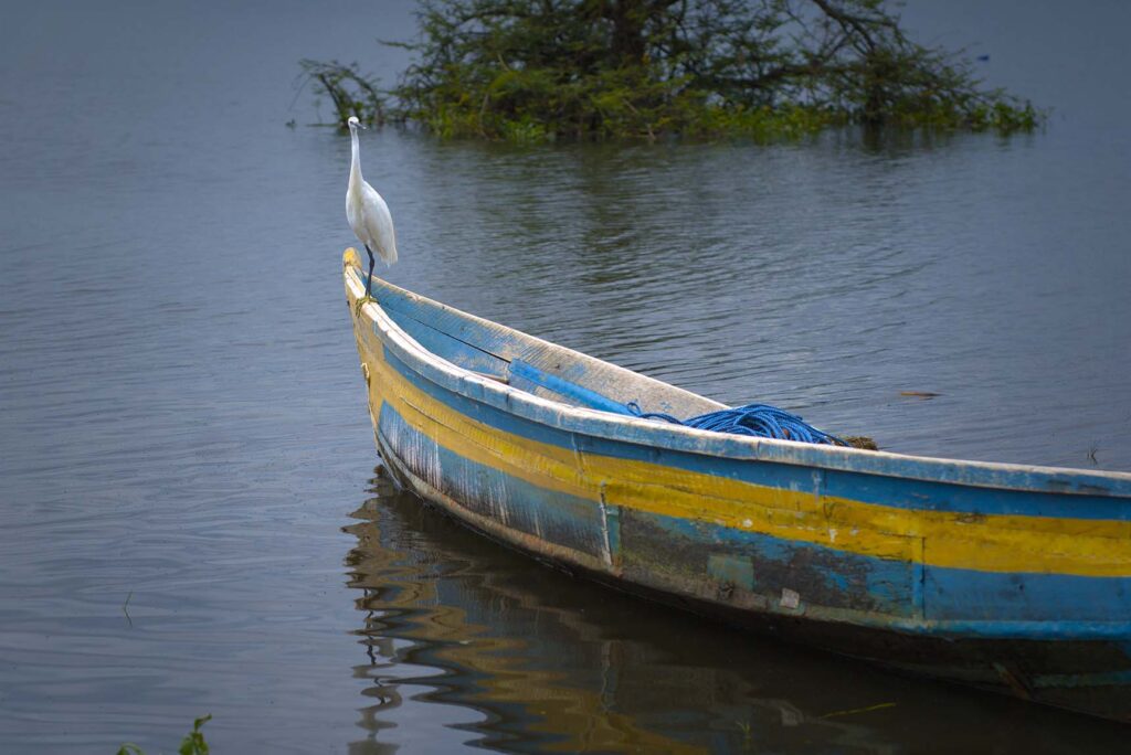 Boat on Lake Victoria at Homa Bay, filmed for Fishers of Change