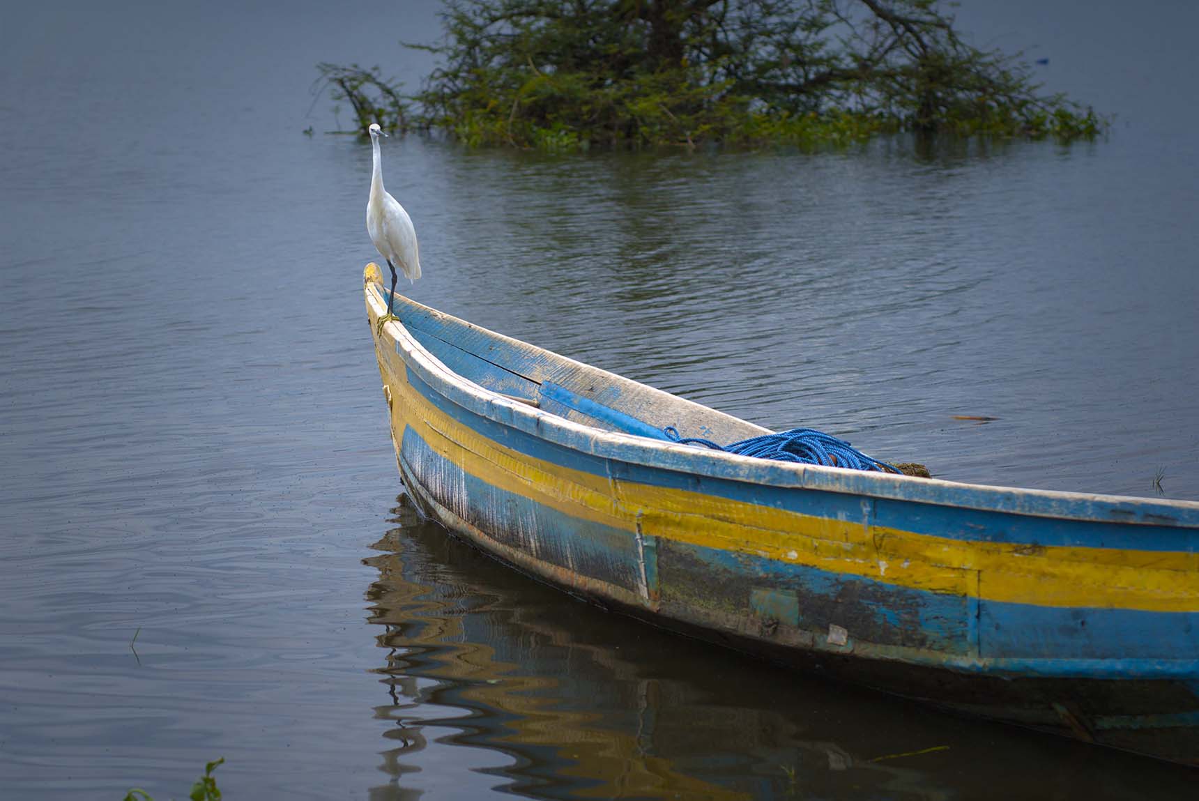 Boat on Lake Victoria at Homa Bay, filmed for Fishers of Change