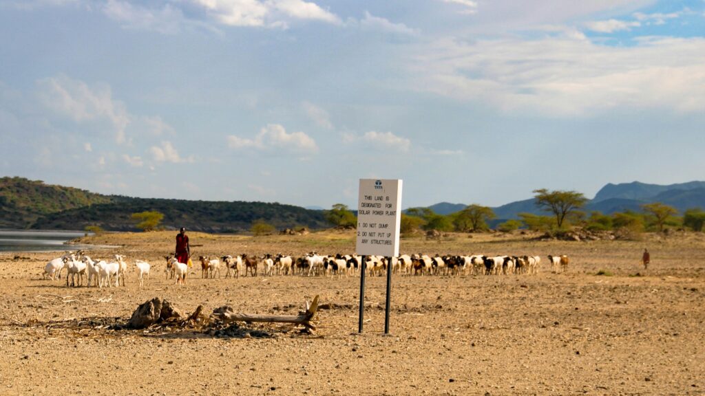 A Maasai herder walks a flock of goats across dry, open rangeland in Kenya, beside a signboard marking land set aside for a solar power plant