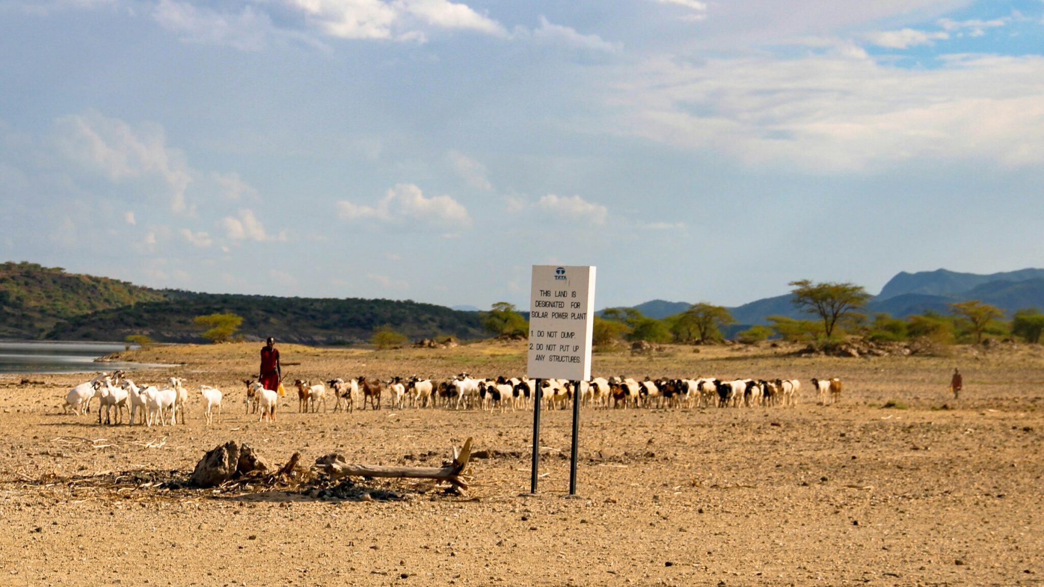 A Maasai herder walks a flock of goats across dry, open rangeland in Kenya, beside a signboard marking land set aside for a solar power plant